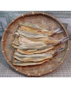 澎湖現撈狗母魚乾<5隻200g>(桶盤)