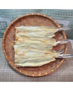 澎湖現撈狗母魚乾<3-5隻300g>(桶盤)