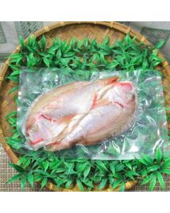 澎湖野生現撈盤仔魚<2尾300g>(潭邊)