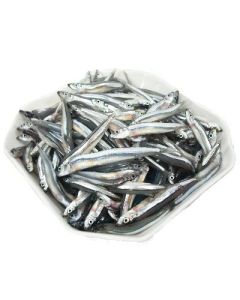 澎湖赤崁丁香魚(青丁)