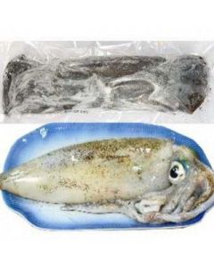澎湖海釣軟絲<1尾1050g>(菓葉盧A) 