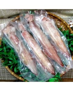 澎湖現撈生小卷<4尾650g>(鎖港)