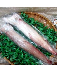 澎湖現撈生小卷<2尾300g>(鎖港)